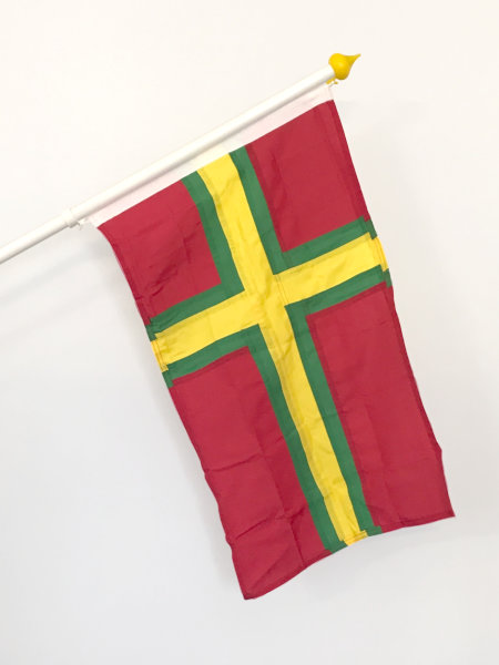 Österlens flagga mot vit bakgrund, flaggan har ett gult och grönt kors med röda fält