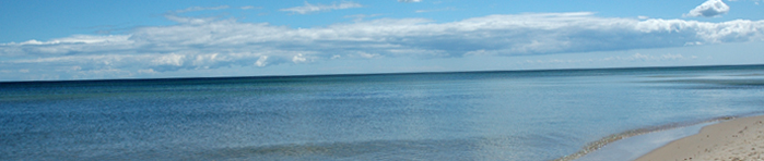 sommarbild av kustlinjen på Österlen