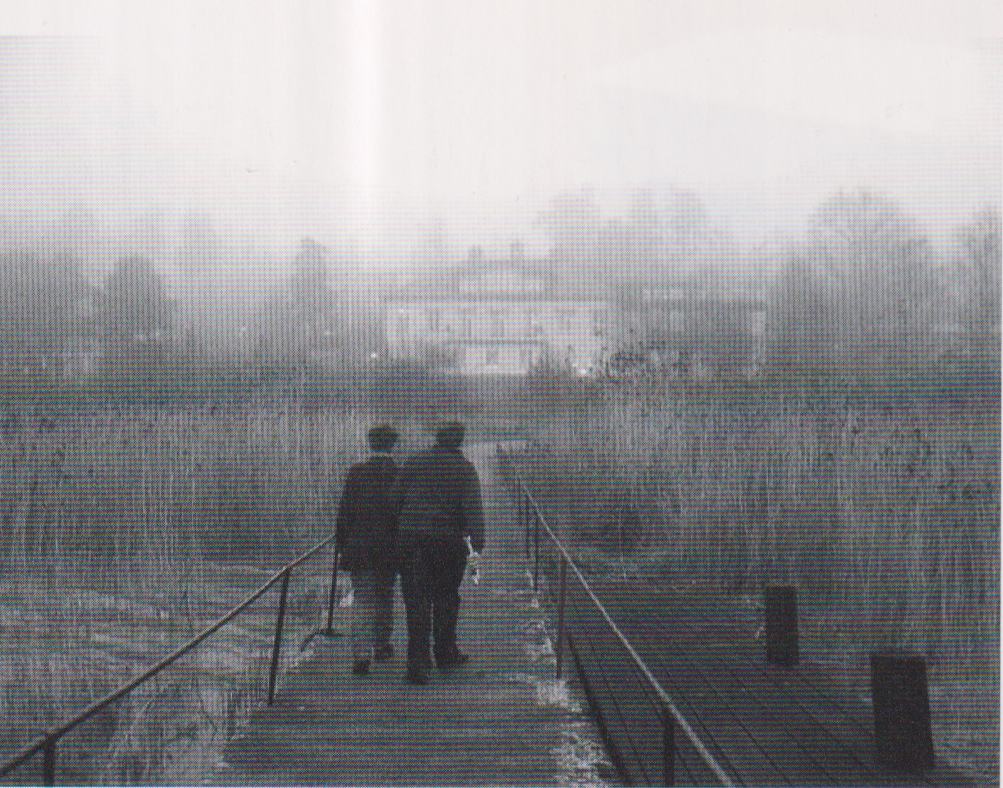 Lunchpromenad,  synskadad och ledsagare syns bakifrån, de går på en bro mot Almåsa, som skymtar en bit bort